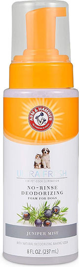 Σαμπουάν 2 1 Χωρίς Ξέβγαλμα Arm & Hammer Αφρός Χωρίς Ξέβγαλμα Σόδα Άρωμα Κέδρου 237 Ml