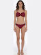 Set Bikini Burgundisch