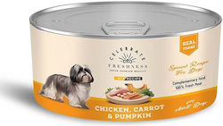 Celebrate Freshness Wet Food 170gr Celebrate Freshness Wet Food 170gr