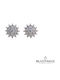 Velegrakis Silver Stud Earrings with Stones