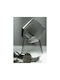 Cristar Set Whiskey / White Wine Glasses Made of Glass in Grey Colour 374ml 6 Pieces
