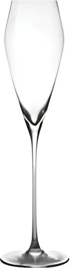 Set Brillen Champagner / Weißwein aus Glas Kelch 250ml 2 Stück