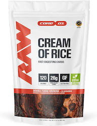Raw Special Food Supplement 800gr Double Fudge Brownie Raw Special Food Supplement 800gr Double Fudge Brownie