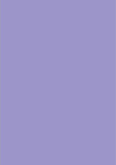 Unipap Картон Колаж Art 50x70см 250гр Лилав