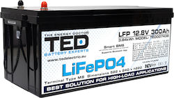 TED Electric TED007438 Μπαταρία UPS 12.8V 300Ah