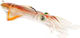 JLC Xipi Evo Squid Jig 10cm 25gr #5 Real Brown