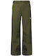 Oakley Rc Shell FOA406102-86L Pantaloni de Schi și Snowboard Pentru Bărbați Verde