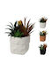Artificial Plant Cement Pot 20cm White