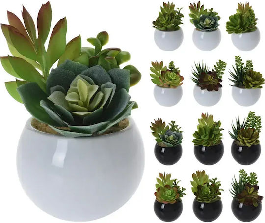 Plantă Artificială Ghiveci Ceramic 8×12cm Negru