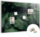 Placă Magnetică Monstru Tropical Un Magnet 100x70