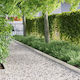 vidaXL Metallic Garden Hedge in Silver Colour