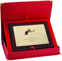 Plastic Diploma Engraved Metal Plate + Case
