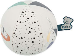 Kaloo Stimuli-Ball für Welpen