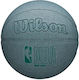 Wilson Basketball
