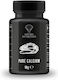 Gecko Nutrition Reptilienfutter Reines Calcium