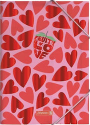 Fruity Love File Folder Rubber Band A4 Pp Fruity Love File Folder Rubber Band A4 Pp