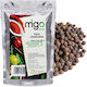 MIGOgroup Σινάπι 100gr