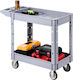 Vevor Transport Trolley for Load Weight up to 250kg in Grey Colour