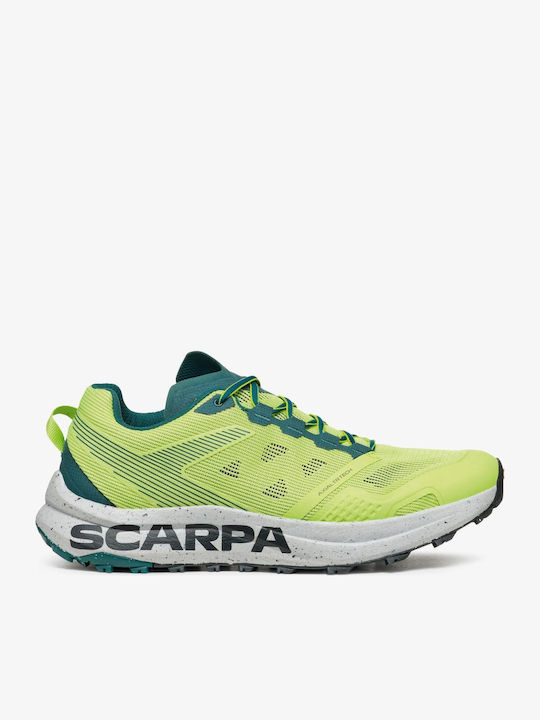 Scarpa