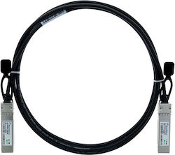 BlueOptics XDACBL1M-BL Οπτική Ίνα SFP+ 1m Μπλε BlueOptics XDACBL1M-BL Οπτική Ίνα SFP+ 1m Μπλε