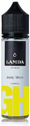 Lamda E-Zigaretten Aromakonzentrate 60ml 1 Stück Lamda Lights