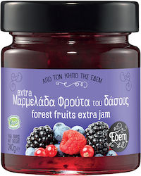 Εδem Gem Fructe de Pădure 100gr Εδem Gem Fructe de Pădure 100gr