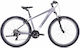 Ideal Trial 29 29" 2026 Grey Mountain Bike with...