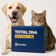 Total Dna – Pet Edition Cea Mai Detaliată Analiză Genetică Pentru Câinele Sau Pisica Dumneavoastră Origine Sănătate & Comportament