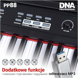 DNA Filters Πιάνο 88 Πλήκτρων