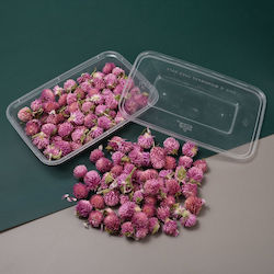 Dried Flowers Resin Pink Amaranths