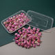 Getrocknete Blumen Resin Rosa Amaranthos