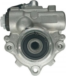 Servolenkungspumpe Nissan Cabstar Atleon Handel 49110d6201 Servolenkungspumpe Nissan Cabstar Atleon Handel 49110d6201