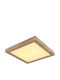Globo Lighting LED Panel 16W With Warm White Light 3000K