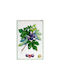Tessitura Toscana Telerie Demetra Fichi Tea Towel In Green Color