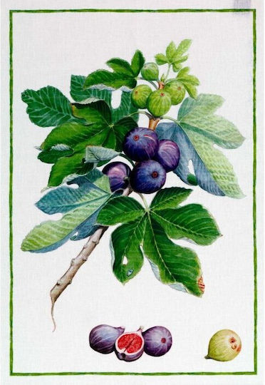 Tessitura Toscana Telerie Demetra Fichi Tea Towel In Green Color