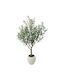Outdoor Olive Tree 150cm Marhome