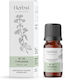 Aromatique Αιθέριο Έλαιο Θυμάρι 10ml