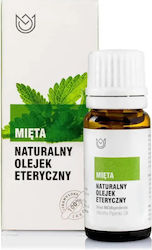 Naturalne Aromaty Ätherisches Öl Minze 10ml Naturalne Aromaty Ätherisches Öl Minze 10ml