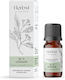 Aromatique Αιθέριο Έλαιο Γαρύφαλλο 10ml