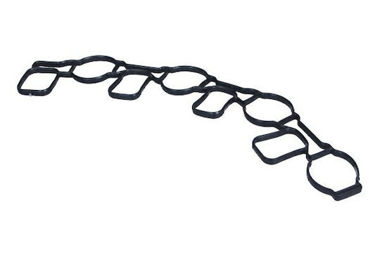 Exhaust Manifold Gasket Volkswagen Golf Passat 2,0 Tdi 03l129717