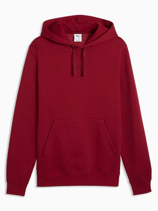 PUMA PUMA Sweatshirt mit Kapuze Mehrfarbig