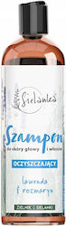 Solverx Șampon Curățare Profundă 400ml Solverx Șampon Curățare Profundă 400ml