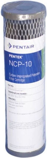 Pentair Replacement Water Filter Cartridge with Activated Carbon 10 μm