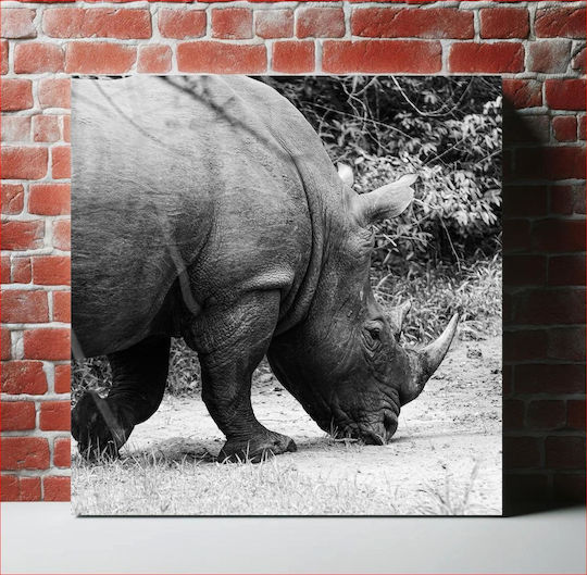 Painting Grazing Rhino In Black White Rhinoceros Grazes Black White 120x120