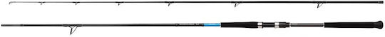 Shimano Bassterra Xt Angelrute für Shore Jigging 3,05m mit Mechanismus 30-100gr