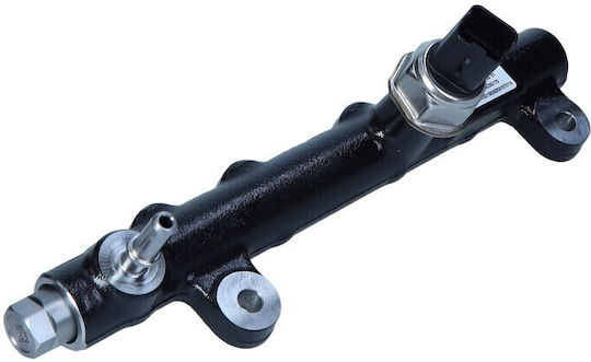 Σιδηροτροχιά Ψεκασμού Citroen C4 2,0 13 9674300080