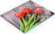 Tulup Schneidebrett Glas Rote 60x52cm