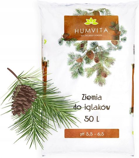 Pământ Conifer 50l Substrat Măsline Tui