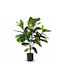Artificial Ficus Lyrata Potted Plant 160cm 87744