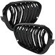Decorative Car Mask BMW F20